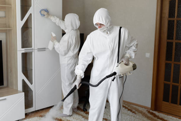 Trusted Sewage Cleanup service in Girard, IL - Four Month Blood Cleanse